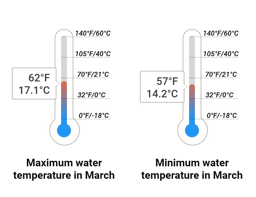 Average Sea temperature